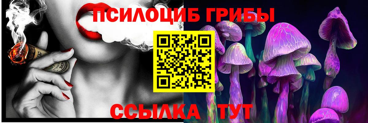 Галлюциногенные грибы Psilocybe  Галлюциногенные грибы Cubensis  Вход с VPN  Карачаевск 